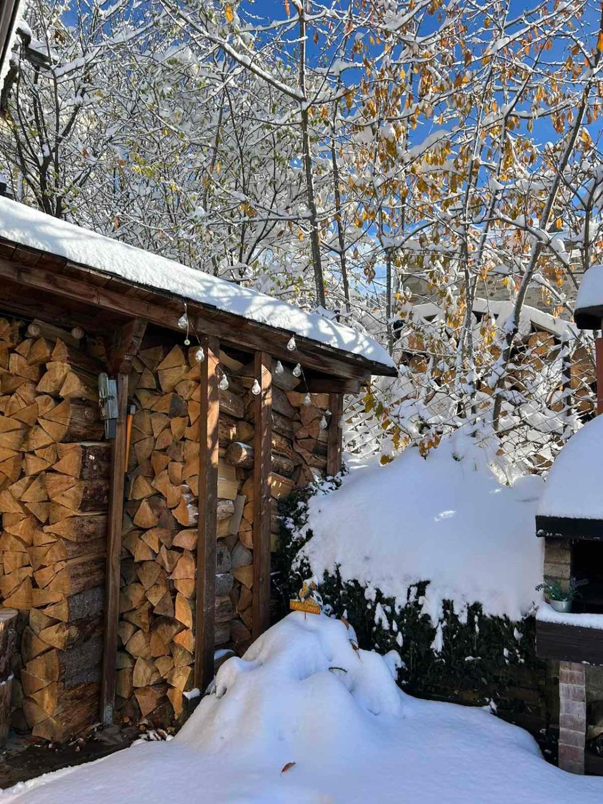 Chepelare Holiday Guest House 外观 照片